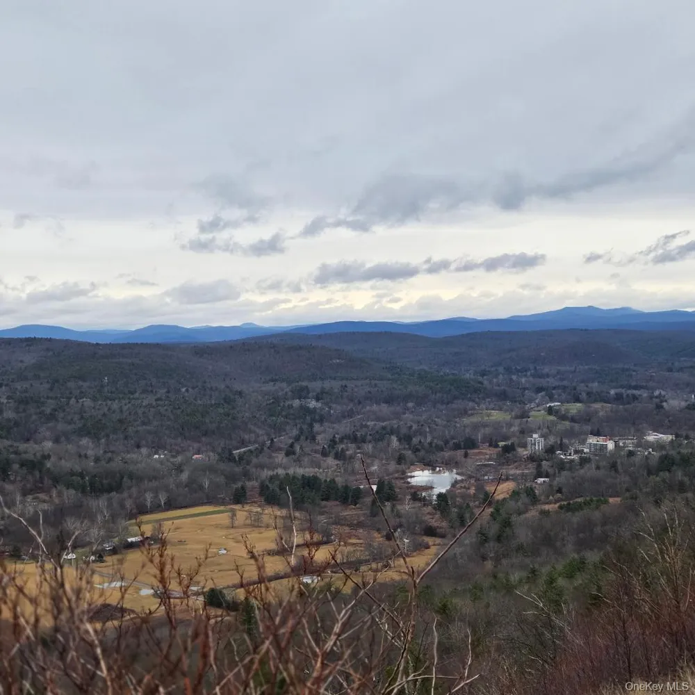 112 State Route 55 Napanoch, NY 12458