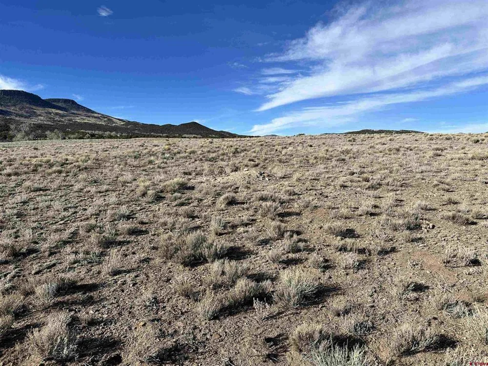 396 Frontier Way South Fork, CO 81154