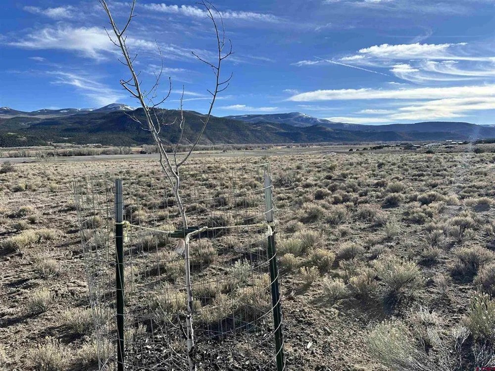 396 Frontier Way South Fork, CO 81154