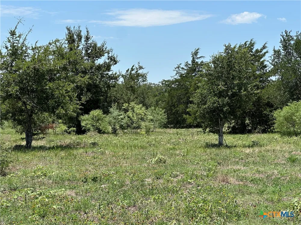 3 Hwy 95 Smithville, TX 78957