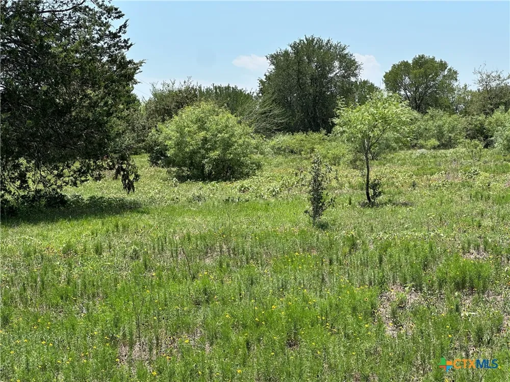 3 Hwy 95 Smithville, TX 78957