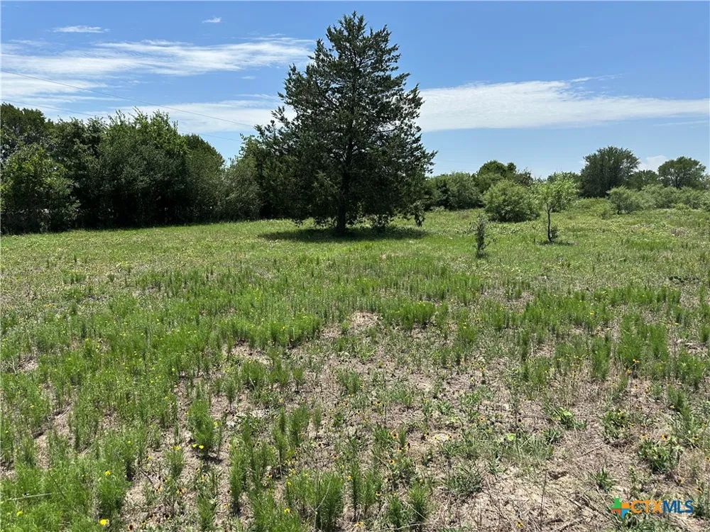 3 Hwy 95 Smithville, TX 78957
