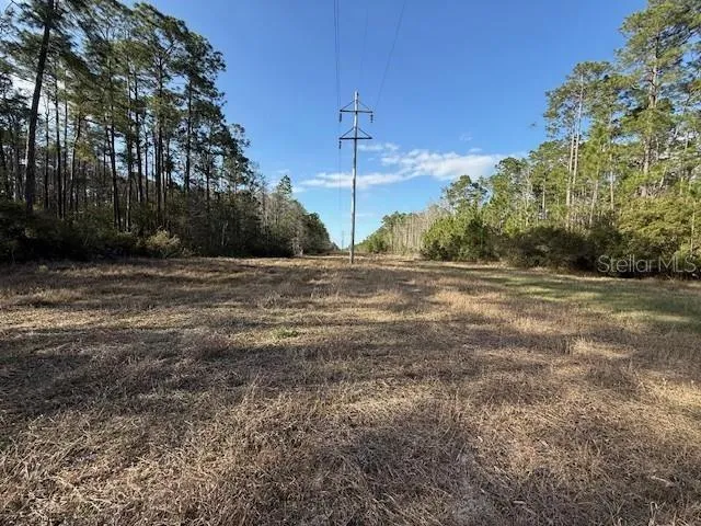 TBD US 19 Inglis, FL 34449