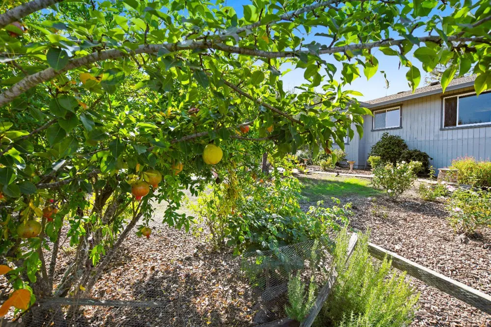 4436 Grange Road Santa Rosa, CA 95404