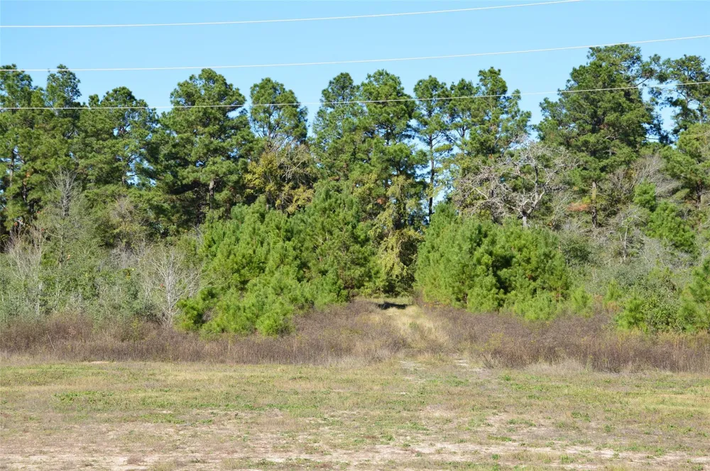 15 Sh 249 Navasota, TX 77868