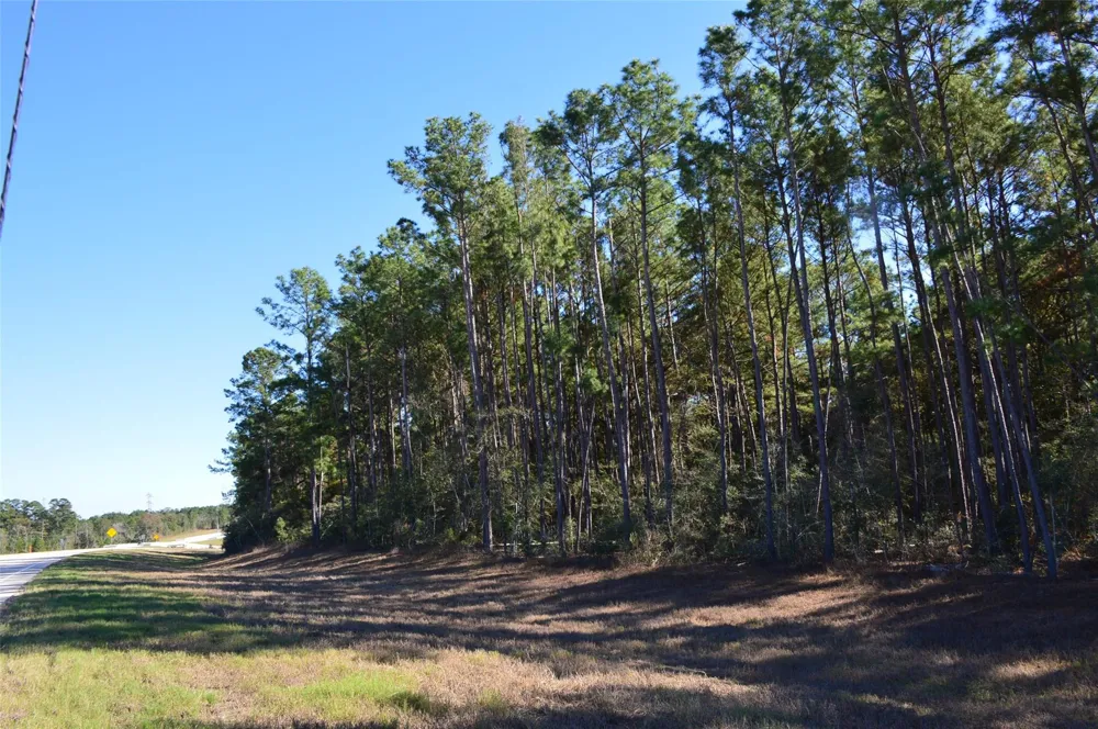 15 Sh 249 Navasota, TX 77868