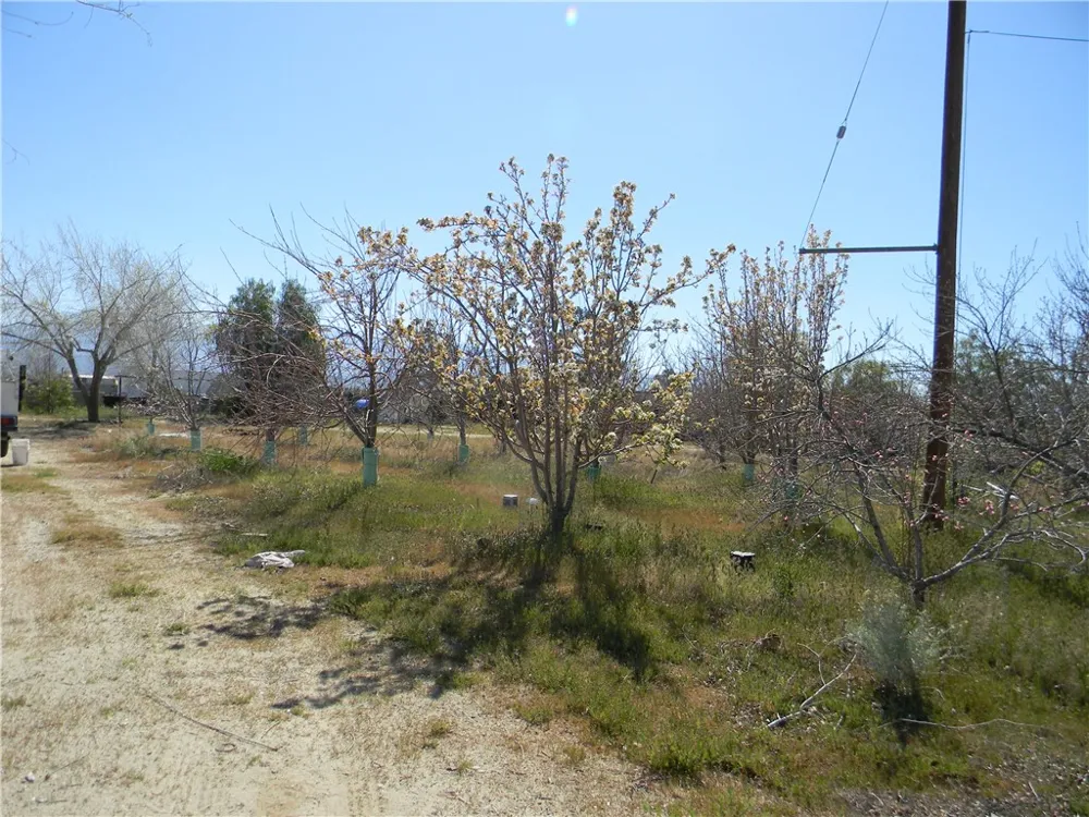 16846 E Avenue T Llano, CA 93544