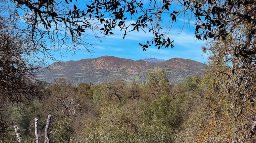 4421 Scrubby Oak Mariposa, CA 95338
