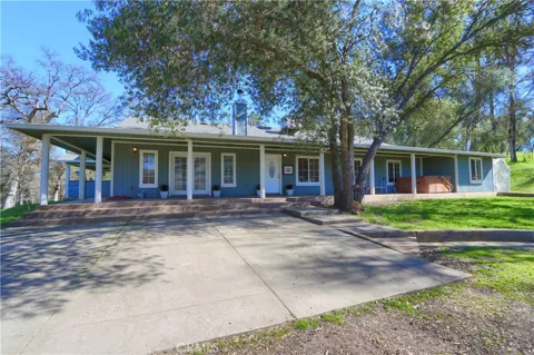4421 Scrubby Oak