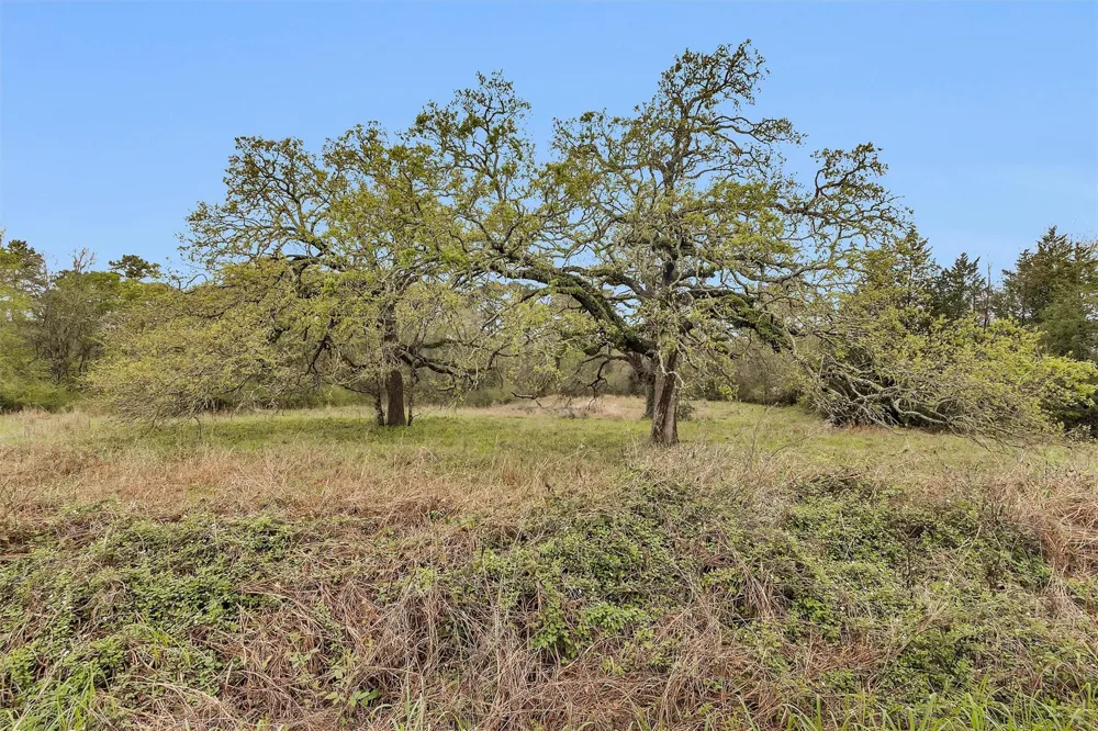 2478 Fm 980 Road Riverside, TX 77320