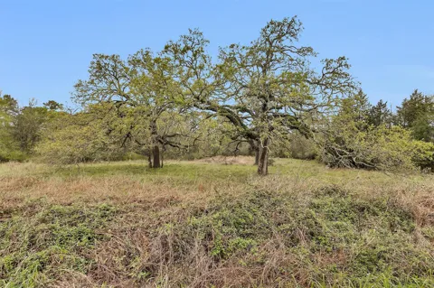 2478 Fm 980 Road