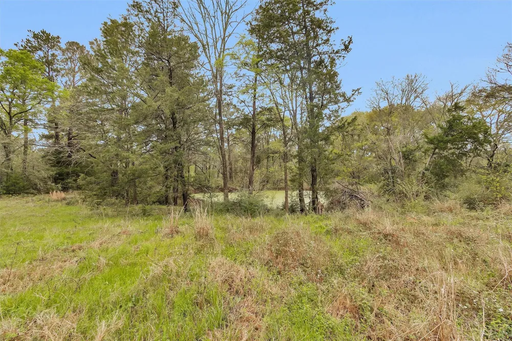 2478 Fm 980 Road Riverside, TX 77320
