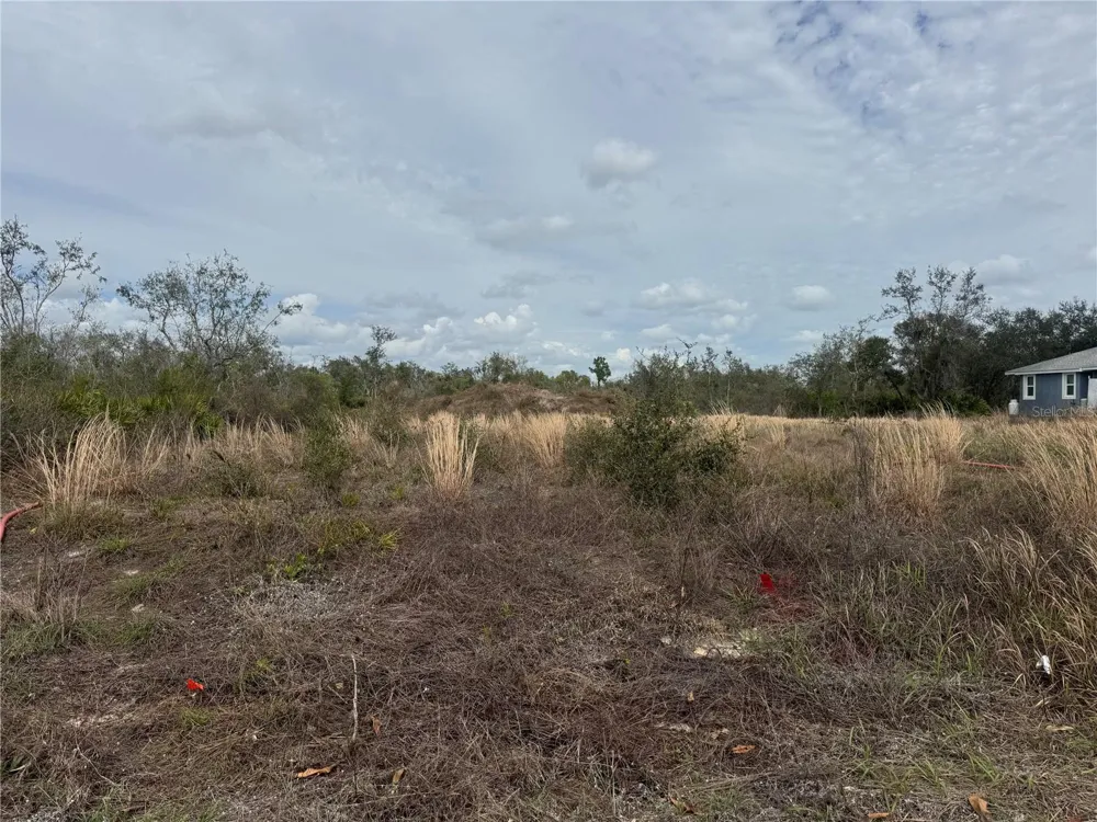 8500 SW AVIARY ROAD Arcadia, FL 34269