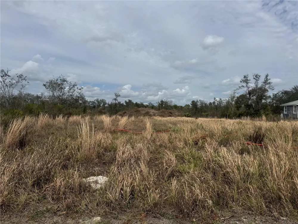 8500 SW AVIARY ROAD Arcadia, FL 34269