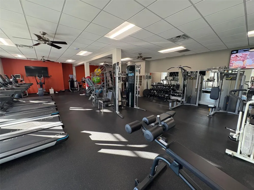 9916 CLEGHORN DRIVE San Antonio, FL 33576
