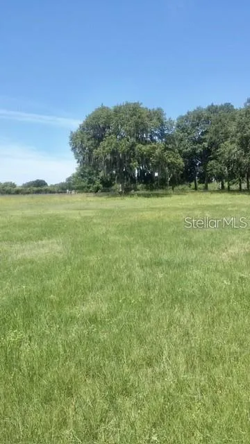 7000 US-19 Terra Ceia, FL 34250