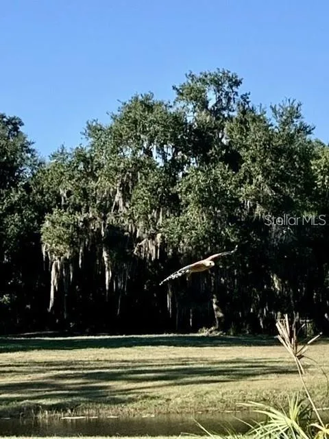 7000 US-19 Terra Ceia, FL 34250