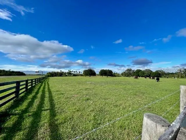 7000 US-19 Terra Ceia, FL 34250