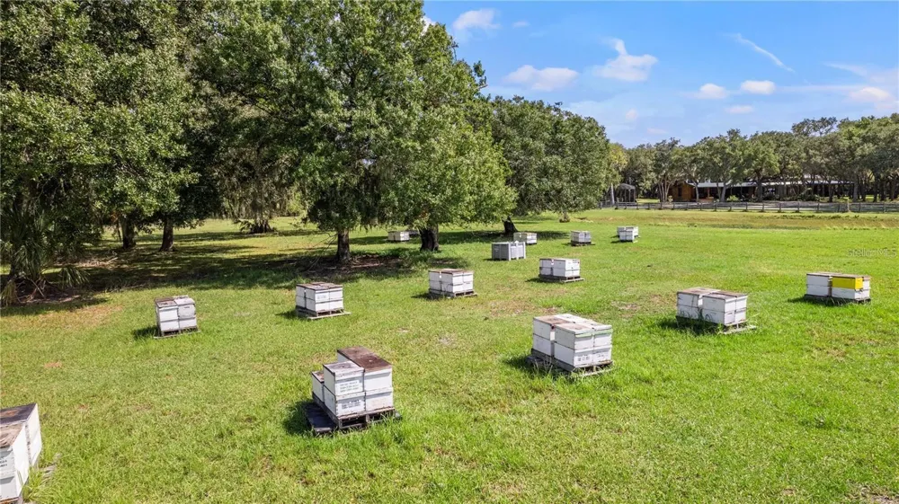 7000 US-19 Terra Ceia, FL 34250