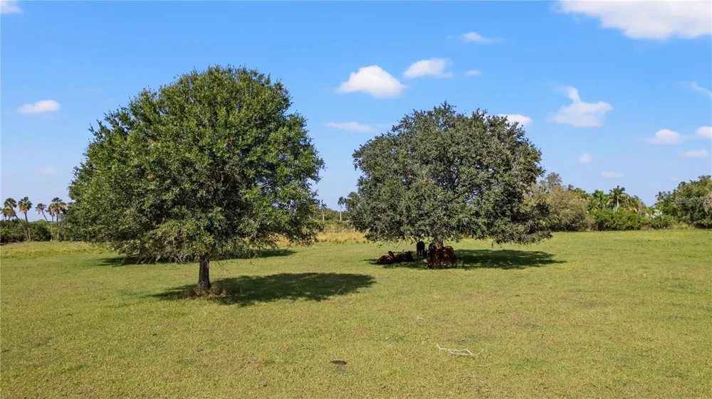 7000 US-19 Terra Ceia, FL 34250
