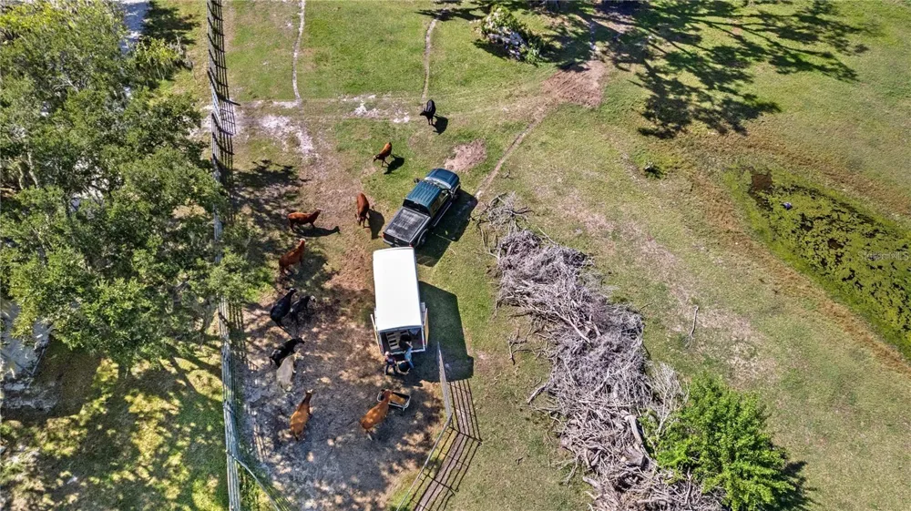 7000 US-19 Terra Ceia, FL 34250