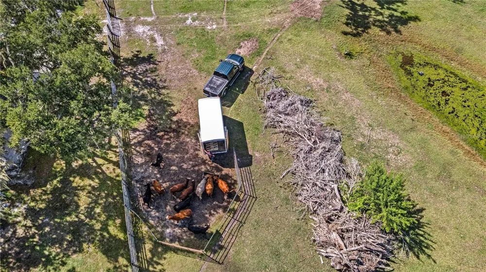 7000 US-19 Terra Ceia, FL 34250