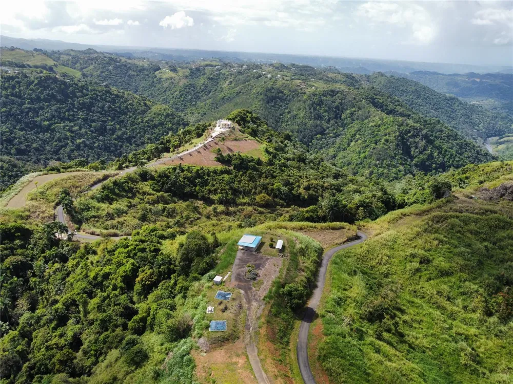 PR-155 KM 34.0 BARRIO PERCHAS Morovis, PR 00687