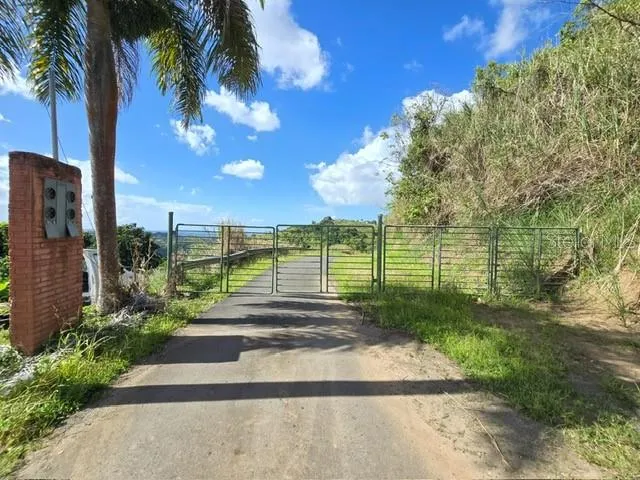 PR-155 KM 34.0 BARRIO PERCHAS Morovis, PR 00687