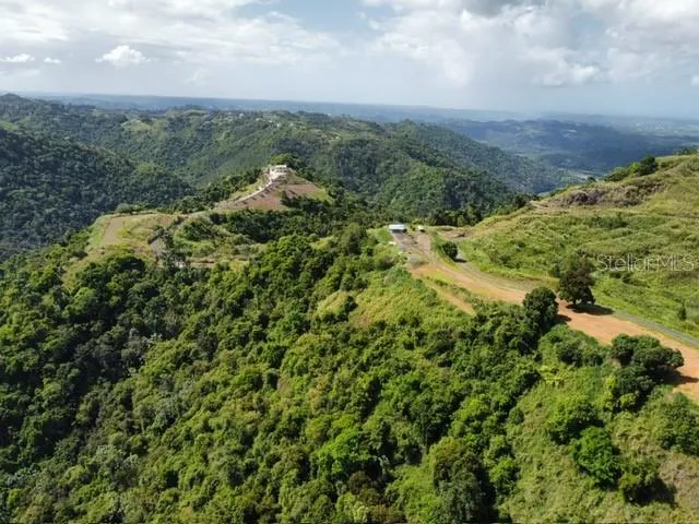PR-155 KM 34.0 BARRIO PERCHAS Morovis, PR 00687