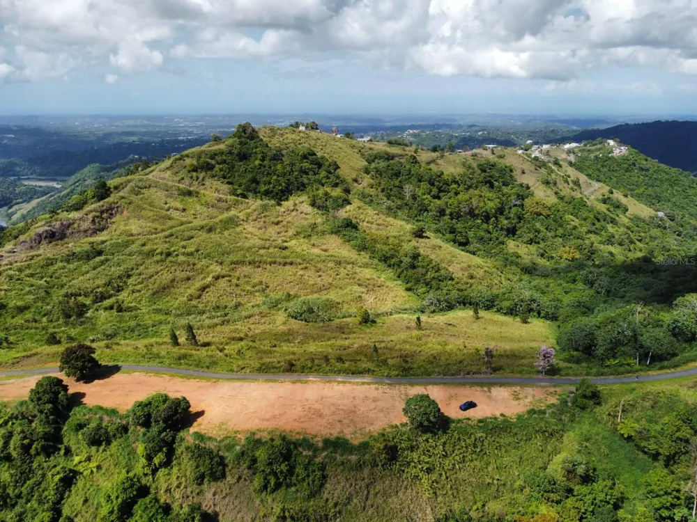 PR-155 KM 34.0 BARRIO PERCHAS Morovis, PR 00687