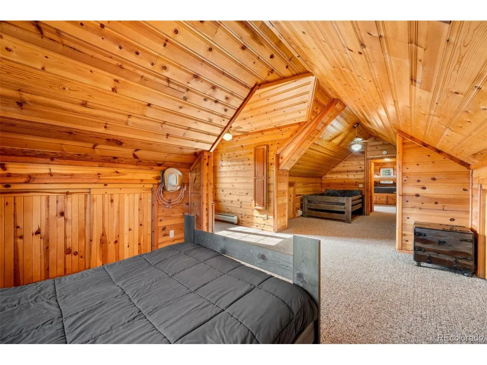 455 Satanta Circle Westcliffe, CO 81252