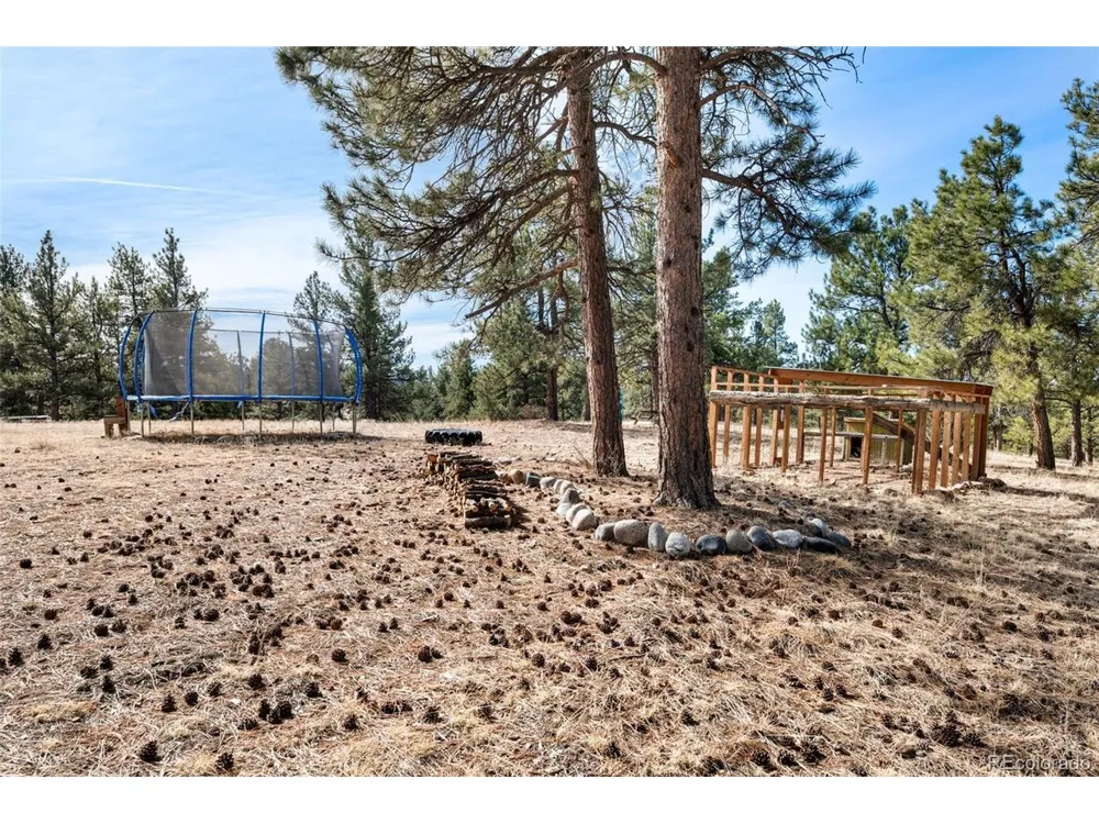 455 Satanta Circle Westcliffe, CO 81252