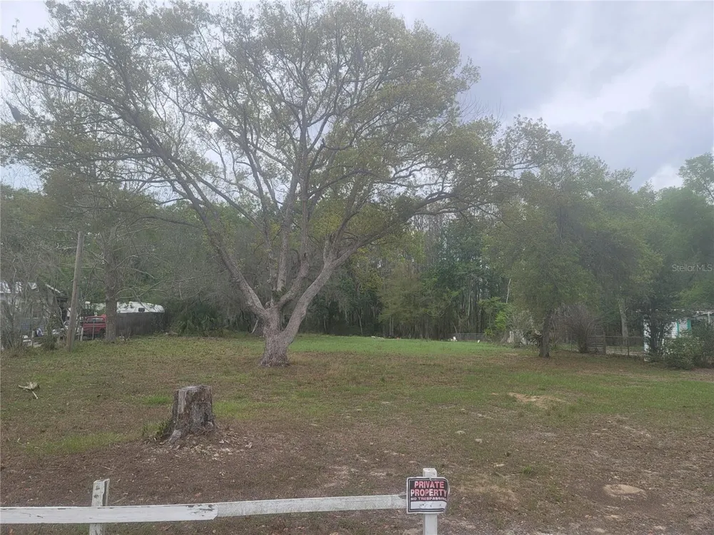 11641 BRUIN DRIVE New Port Richey, FL 34654
