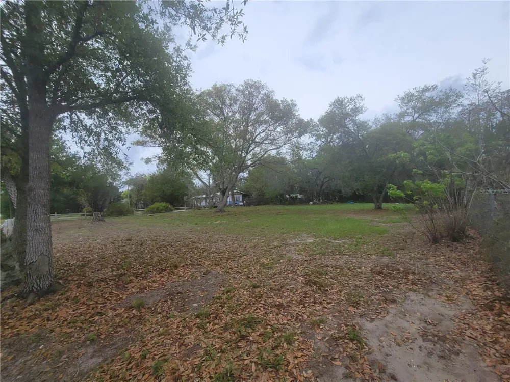 11641 BRUIN DRIVE New Port Richey, FL 34654
