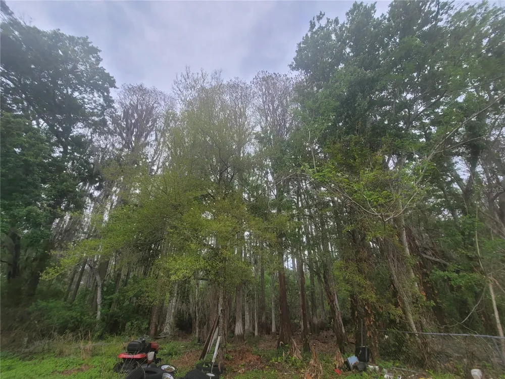 11641 BRUIN DRIVE New Port Richey, FL 34654