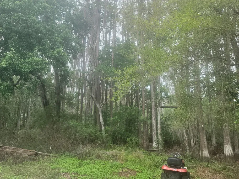 11641 BRUIN DRIVE New Port Richey, FL 34654