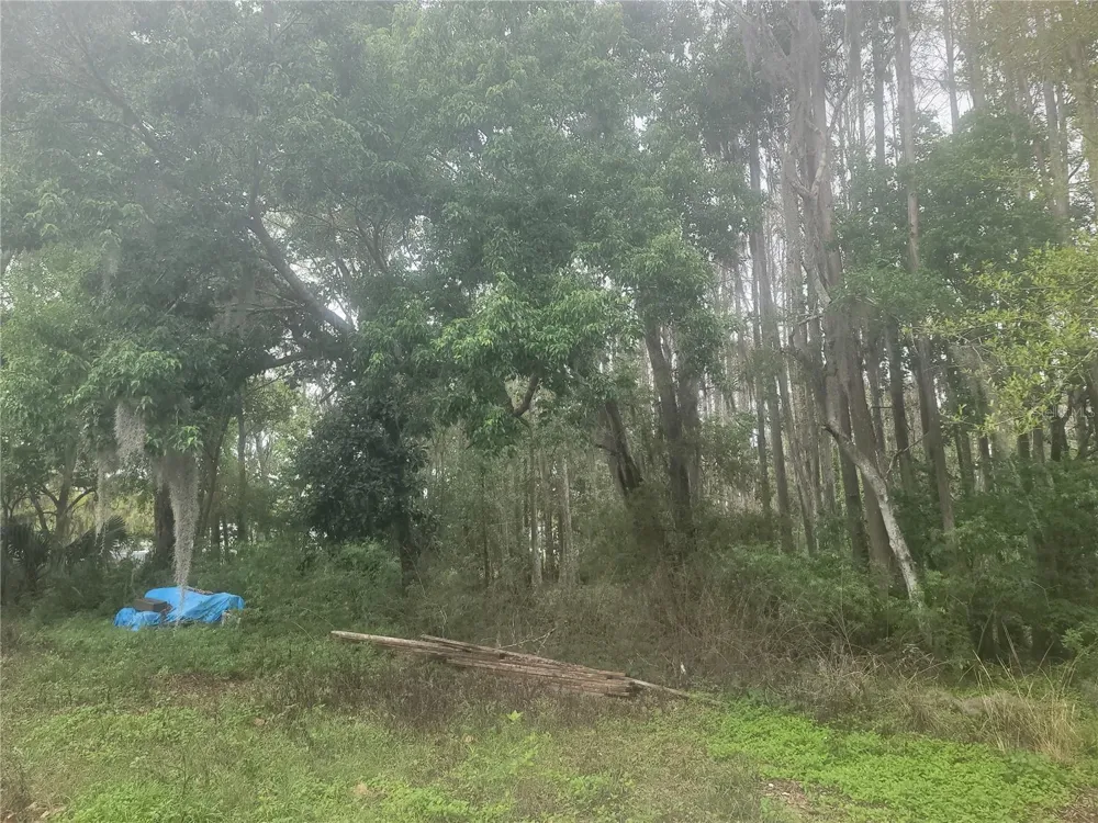 11641 BRUIN DRIVE New Port Richey, FL 34654