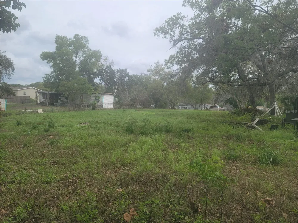 11641 BRUIN DRIVE New Port Richey, FL 34654