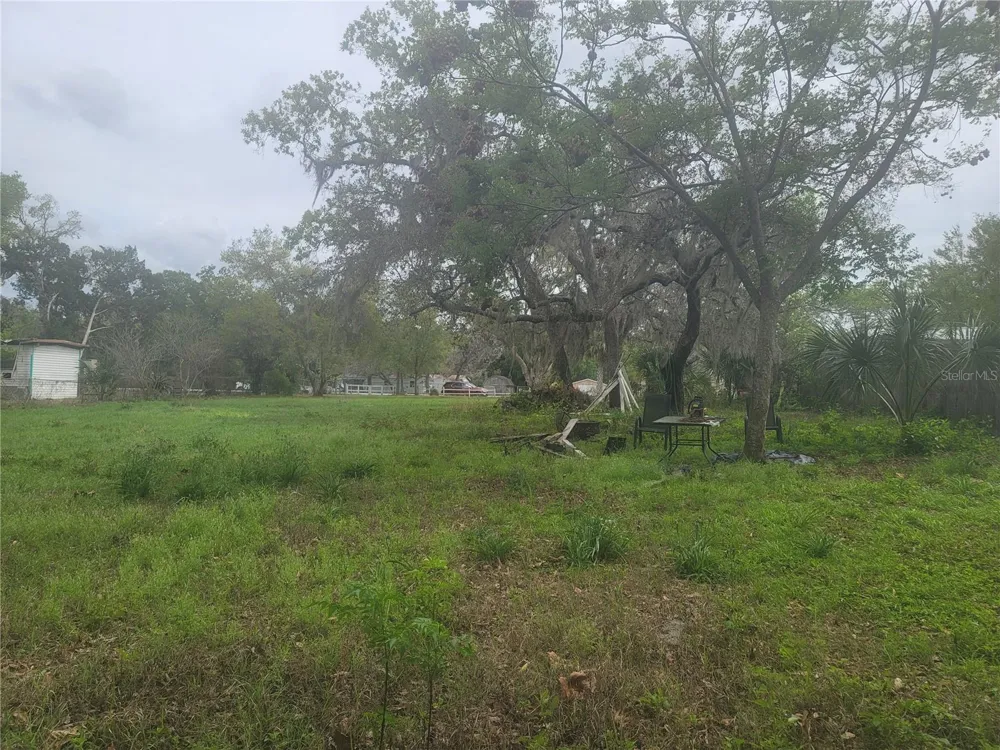 11641 BRUIN DRIVE New Port Richey, FL 34654