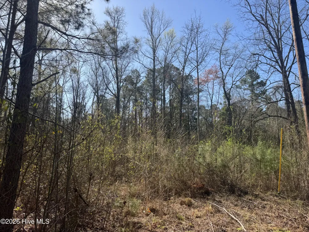0 Little Prong Road NW Ash, NC 28420