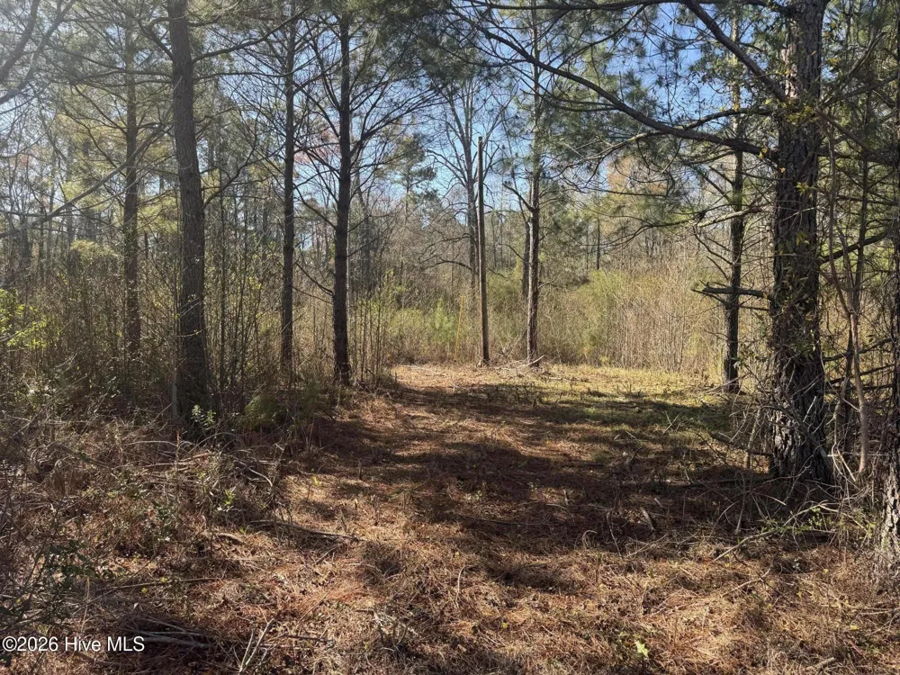 0 Little Prong Road NW Ash, NC 28420