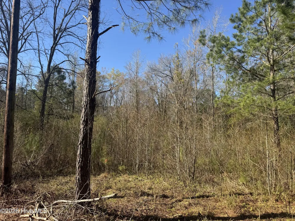 0 Little Prong Road NW Ash, NC 28420