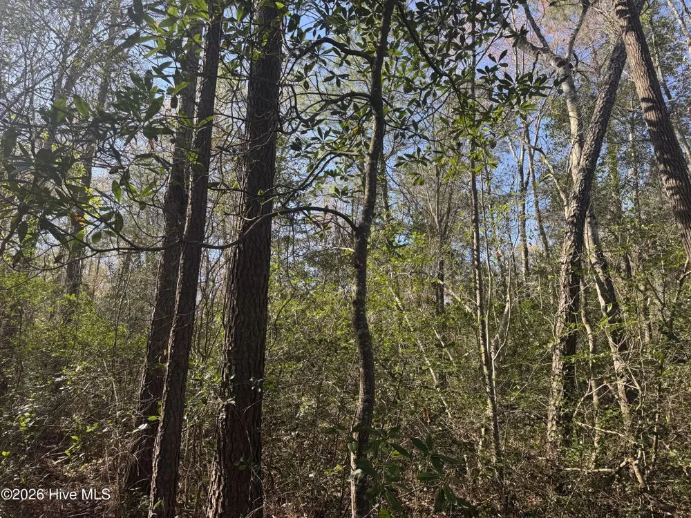 0 Little Prong Road NW Ash, NC 28420