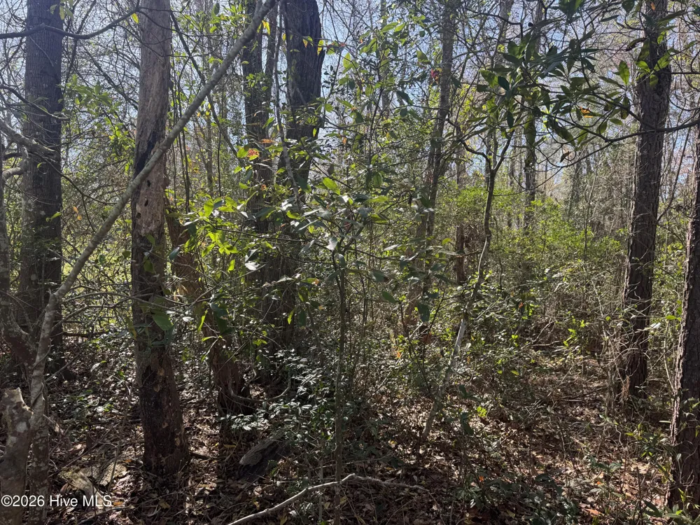 0 Little Prong Road NW Ash, NC 28420