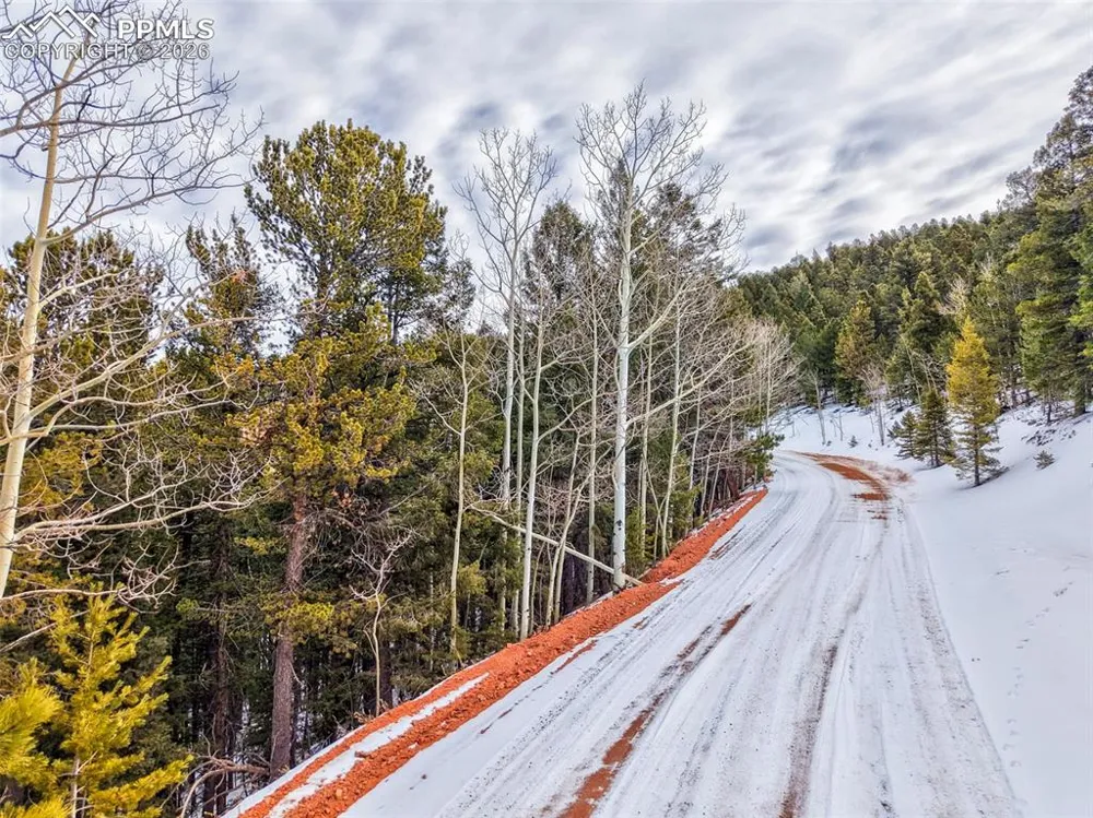 165 Witherite Drive Divide, CO 80814