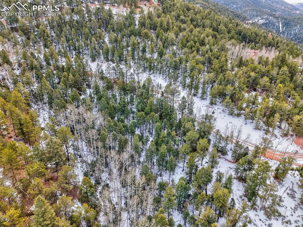 165 Witherite Drive Divide, CO 80814