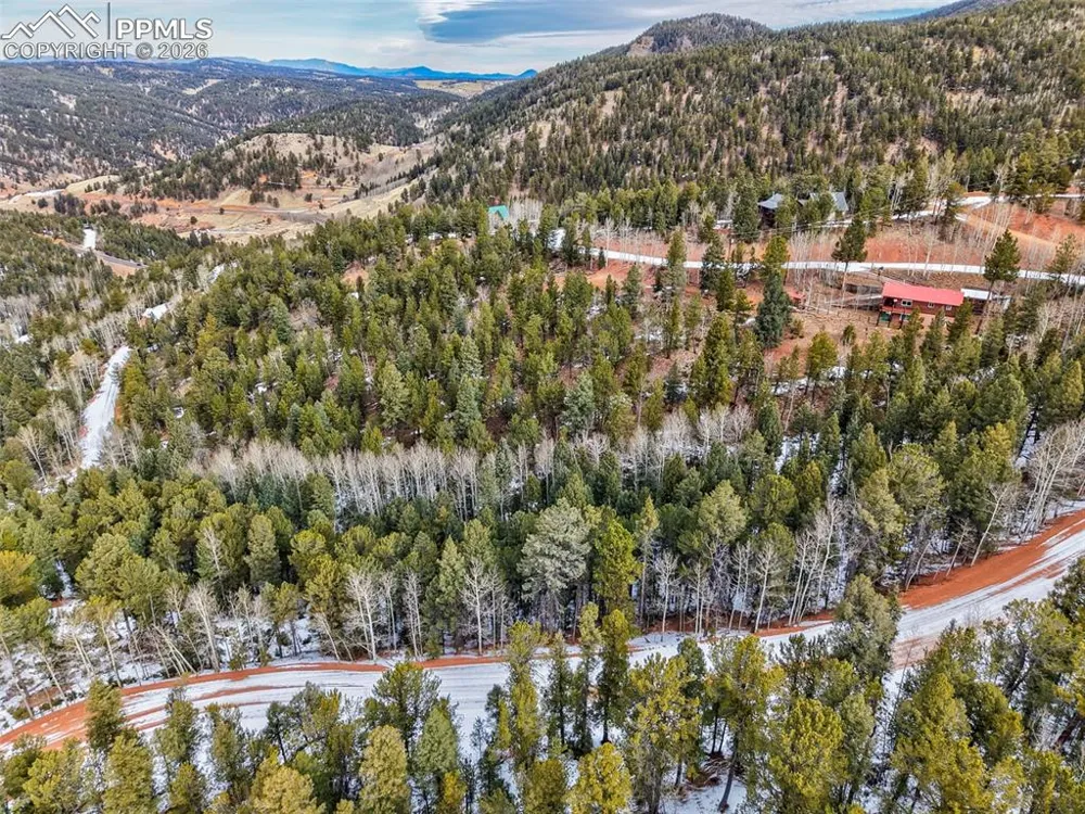165 Witherite Drive Divide, CO 80814