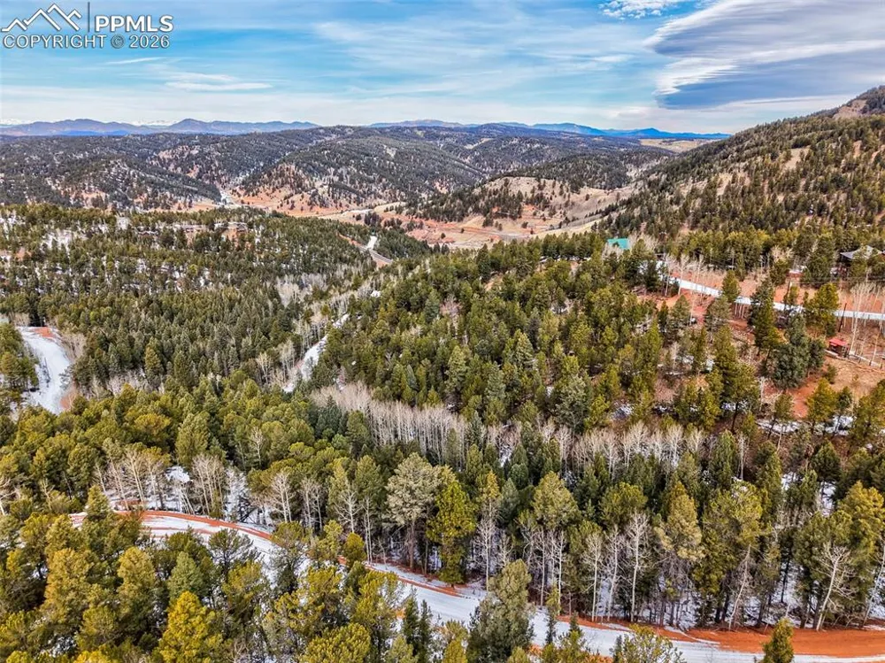 165 Witherite Drive Divide, CO 80814