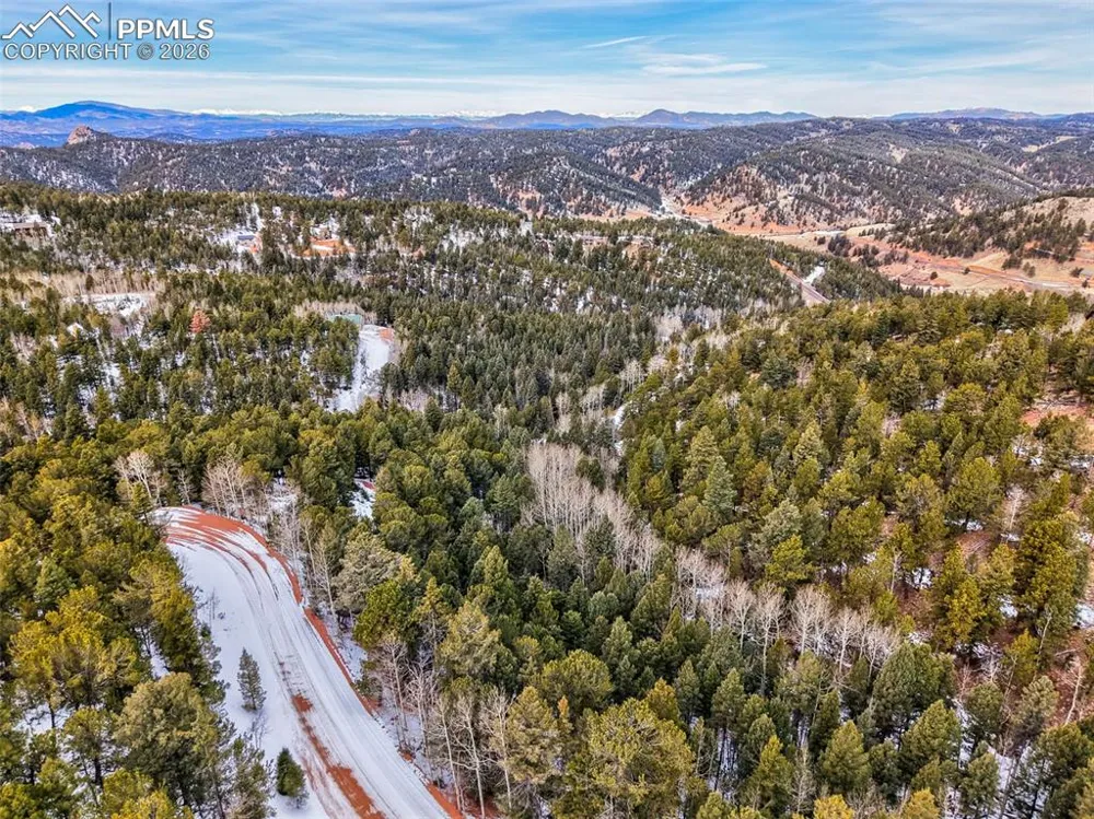 165 Witherite Drive Divide, CO 80814