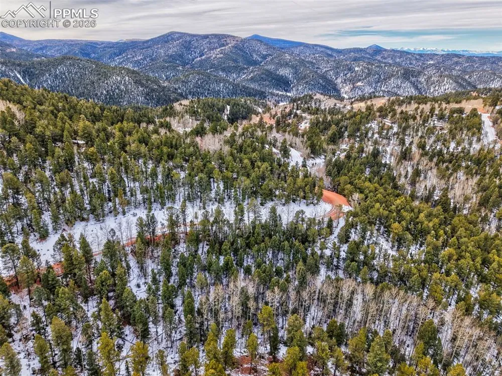 165 Witherite Drive Divide, CO 80814